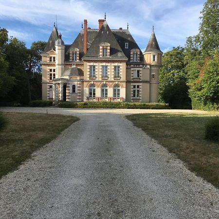Chateau De Praslins Nogent-sur-Vernisson Dış mekan fotoğraf