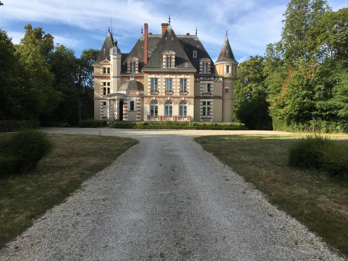 Chateau De Praslins Nogent-sur-Vernisson Dış mekan fotoğraf