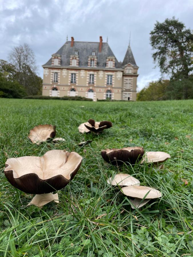 Chateau De Praslins Nogent-sur-Vernisson Dış mekan fotoğraf
